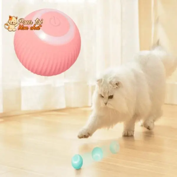 BALLE ROULANTE INTELLIGENTE POUR CHAT – Vite’Balle’Chat™ – Image 4